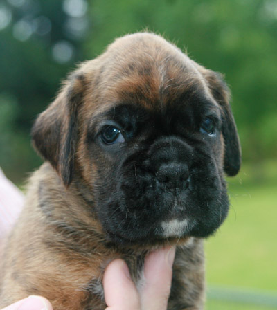 kl IMG_6155 hermann 3 w 2