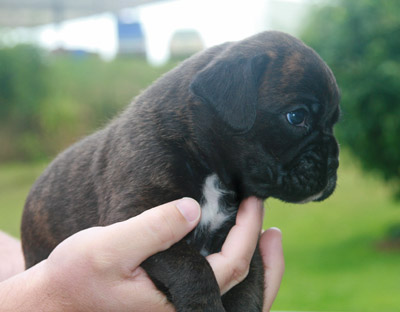 kl IMG_6163 haribo 3 w 2