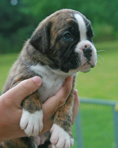 kl IMG_6165 henriette 3 w 1