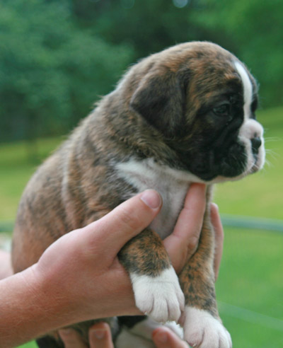 kl IMG_6170 henriette 3 w 2