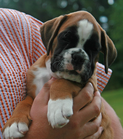 kl IMG_6171 greta 6 w