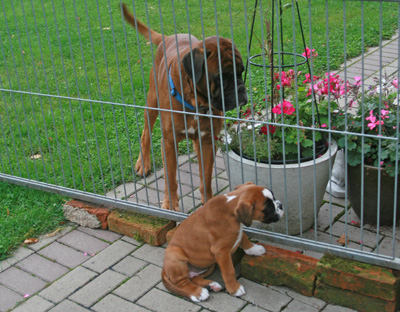 kl IMG_6182 greta balino