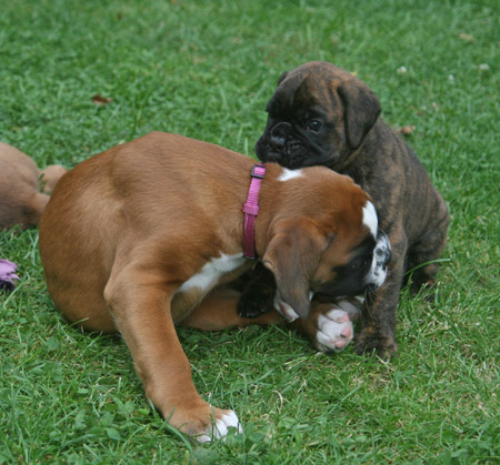 kl IMG_6463 greta hero