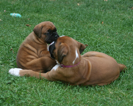 kl IMG_6468 greta hermine