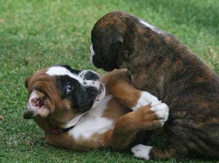 kl IMG_6502 greta henriette