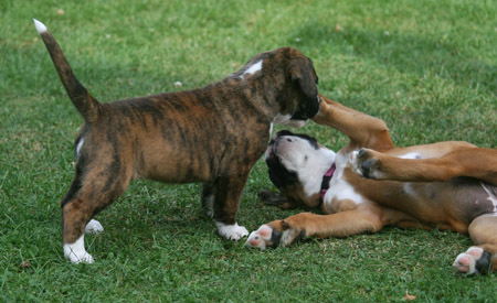 kl IMG_6507 greta henriette