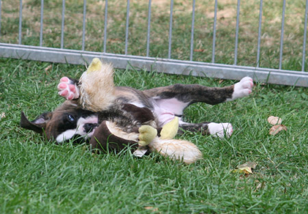 kl IMG_6523 henriette