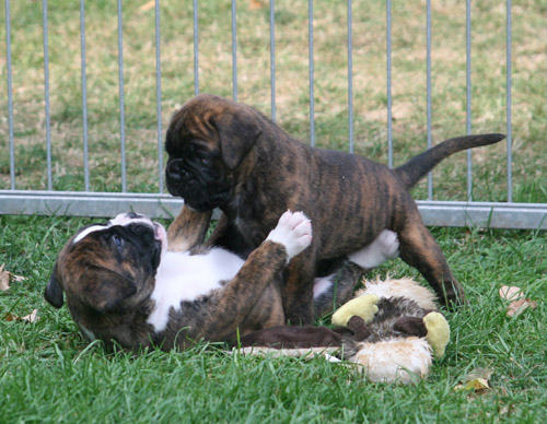 kl IMG_6529 henriette hero