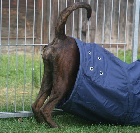 kl IMG_6589 kmi tunnel