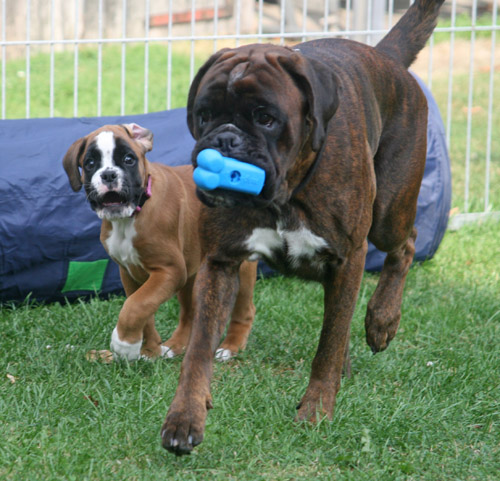 kl IMG_6592 kimi greta spielz