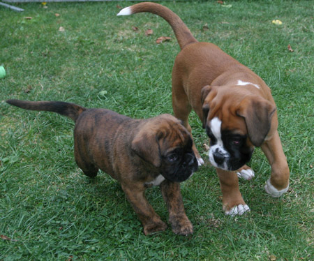 kl IMG_6638 greta hermann