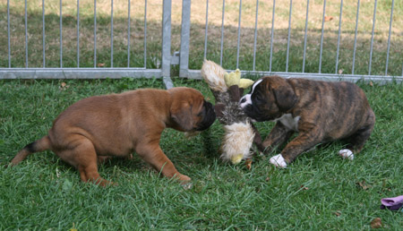 kl IMG_6646 hermine henriette