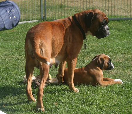 kl IMG_6695 donella greta