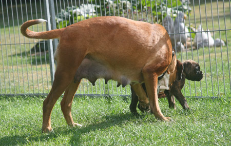 kl IMG_6701 donella hero