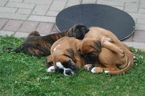 kl IMG_6748 schlafen