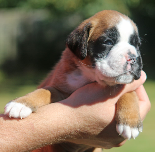 kl Labell vom Brmchen IMG_2055