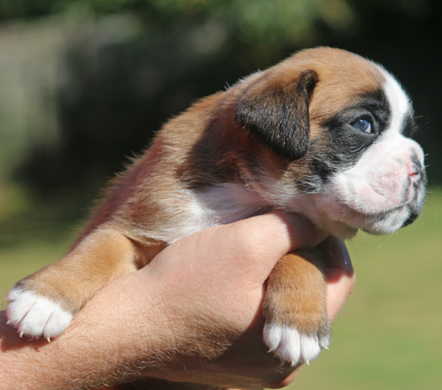 kl Labell vom Brömchen IMG_2056 kl Labell vom Brömchen IMG_2056