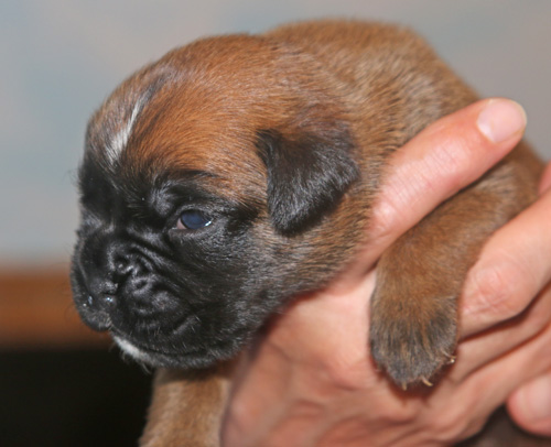 kl Lilli-Fee IMG_1817