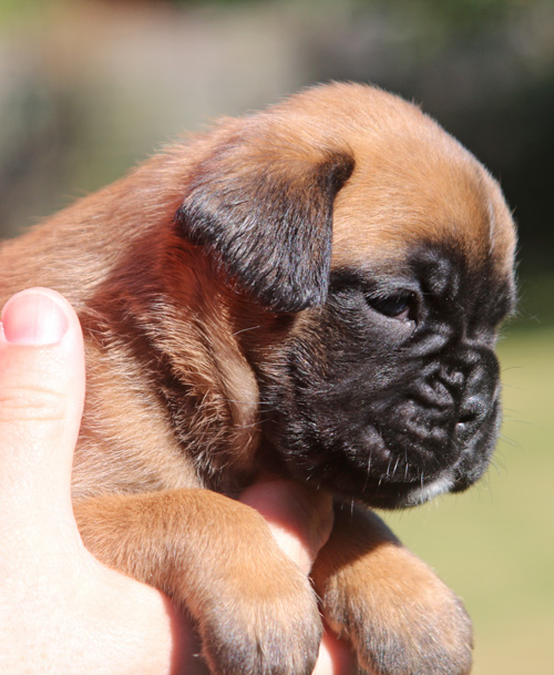 kl Lilli-Fee IMG_2066