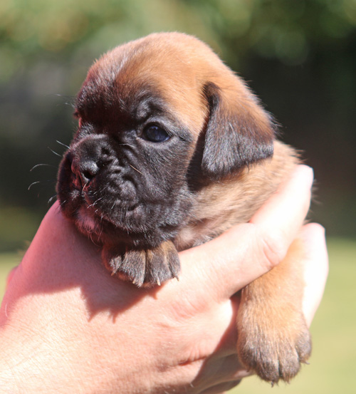 kl Lilli-Fee IMG_2090