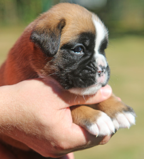 kl Lisbeth vom Brmchen IMG_2024