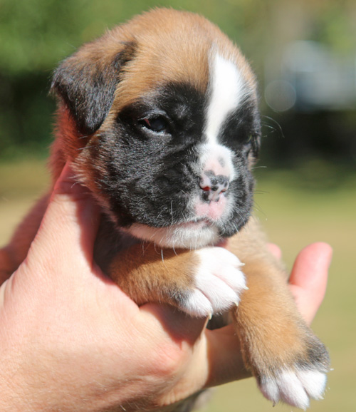 kl Lisbeth vom Brmchen IMG_2026