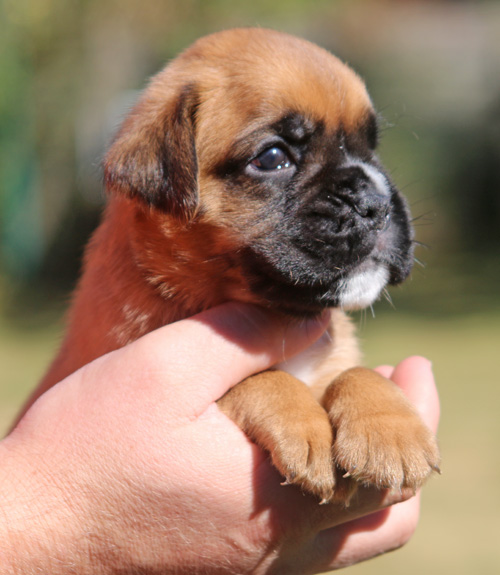 kl Lizzi vom Brmchen IMG_1970