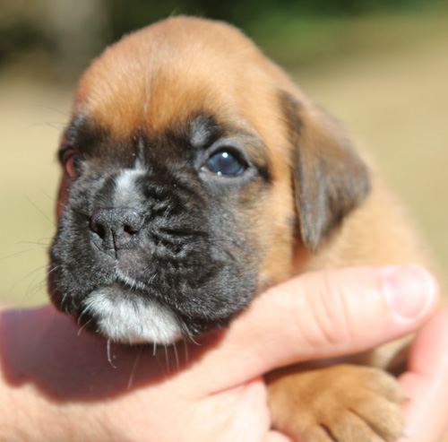 kl Lizzi vom Brmchen IMG_1979