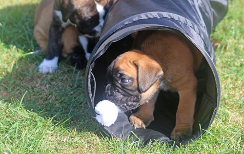 kl Louis 010 kl Louis 010