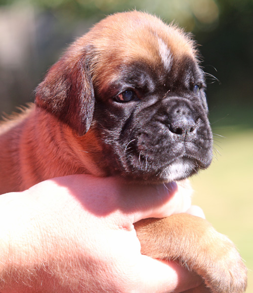 kl Louis vom Brmchen IMG_1992