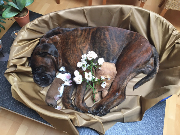 kl Regenbogen kl Regenbogen