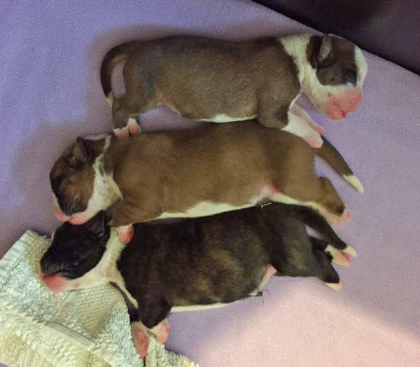 kl alle 3 ein paar Tage jung