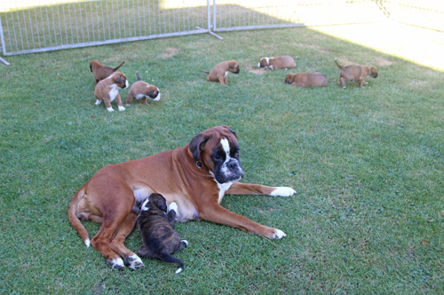 kl alle auf rasen IMG_1924