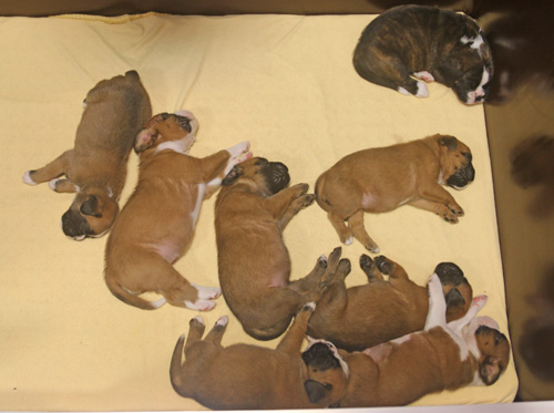 kl alle mde IMG_1877