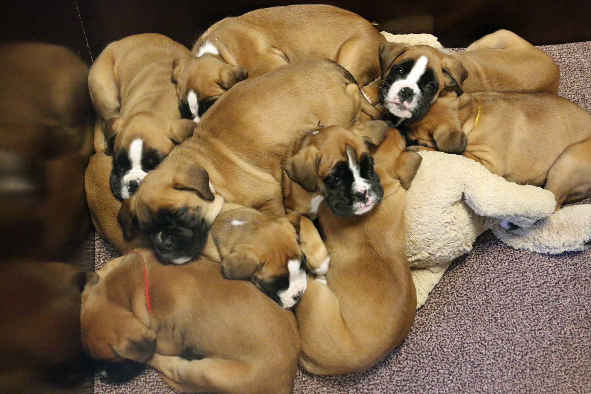 kl alle schlafen IMG_2678