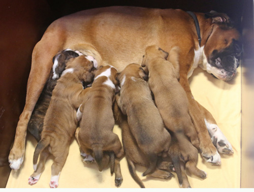 kl alle trinken IMG_1898