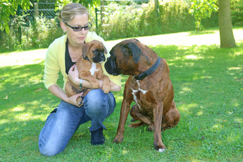 kl hp Januma vom brmchen mit ihren Papa Magic-Boy von Santana