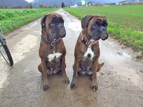 kl hp Kimi und Tochter Isabell vom Brmchen