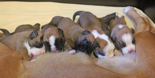 kl k l IMG_1693 kl k l IMG_1693