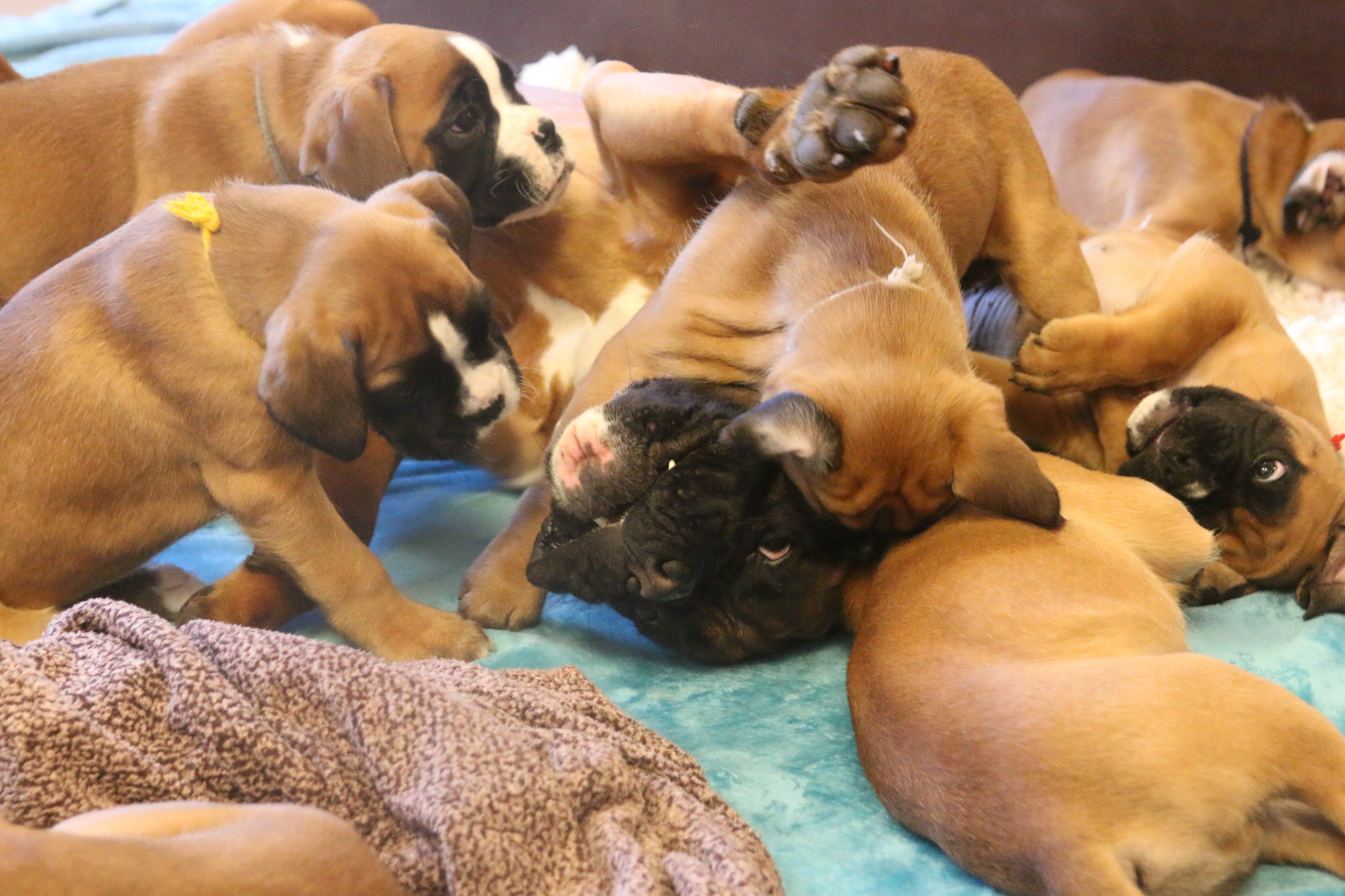 kl mit Naruto IMG_2824