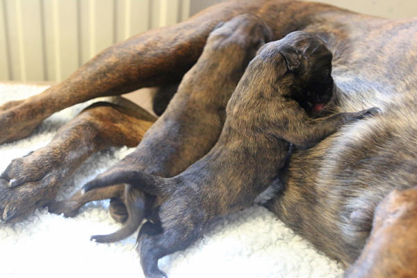 kl x IMG_3213 beide trinken