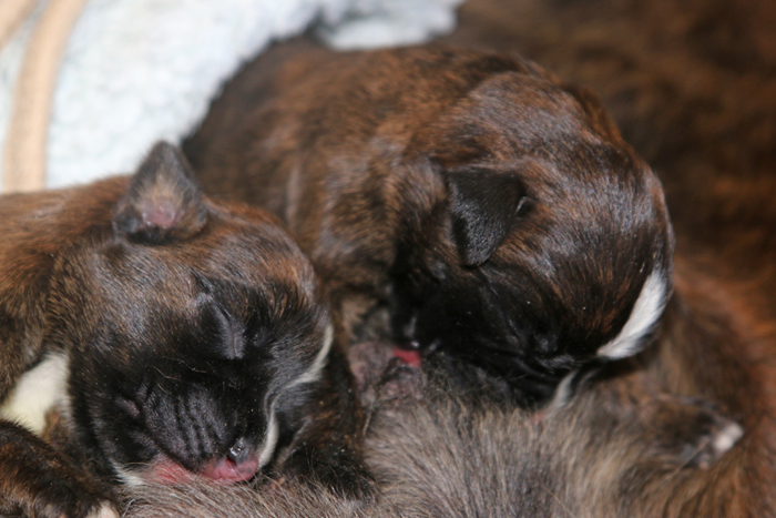 kl x IMG_3229 beide trinken