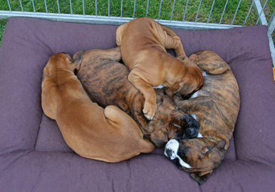 kl x IMG_8307 kl x IMG_8307