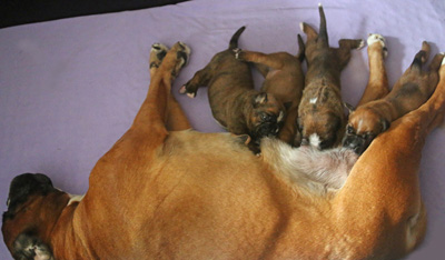 kl x alle trinken IMG_5738