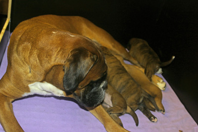 kl x alle trinken IMG_5739