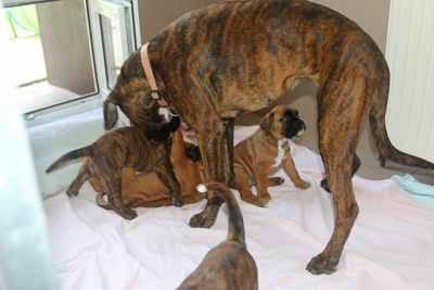 kl x isabell IMG_6108