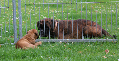 kl x isabell IMG_6248