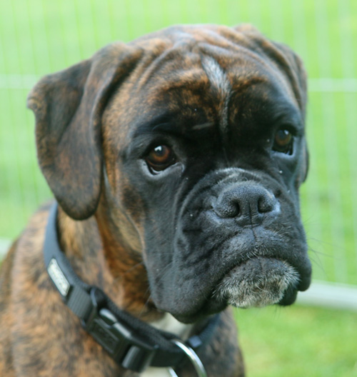 kl x isabell IMG_6494