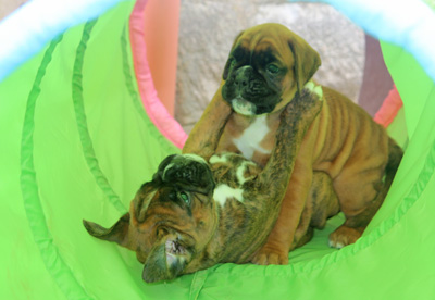 kl x jana jupp IMG_6154