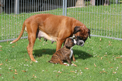 kl x jesko mama IMG_6135